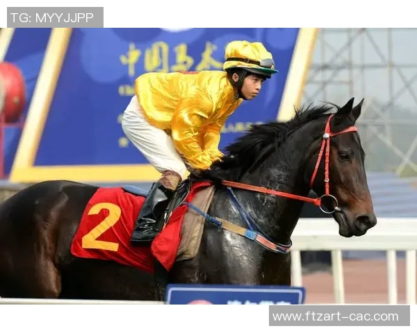 成都乒乓球队在全国速度排行榜中荣获第四名展现强劲实力