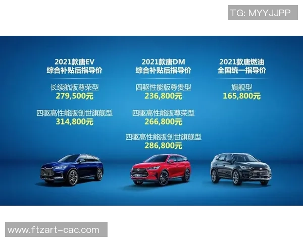 深圳篮球队精英赛征程回顾与突破之路的深度分析与展望